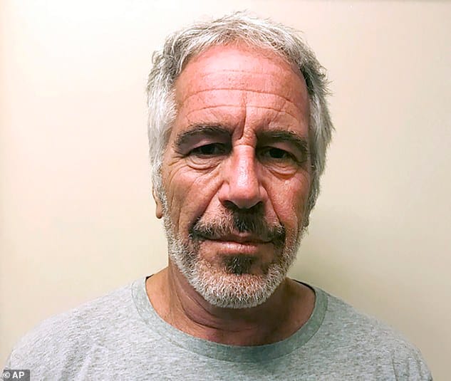 Epstein a été retrouvé mort dans sa cellule de prison de New York le 10 août 2019. Les organisations médiatiques ont commencé à déposer des demandes pour le matériel quelques jours avant sa mort.