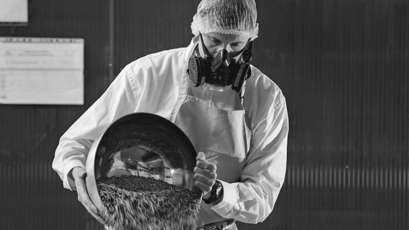 L'usine de Rethel ouvrira en octobre 2022 et produira des mouches et des larves.