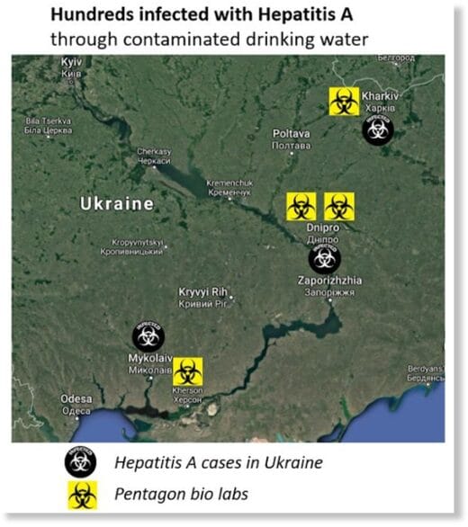 hundreds infected hepatitis A