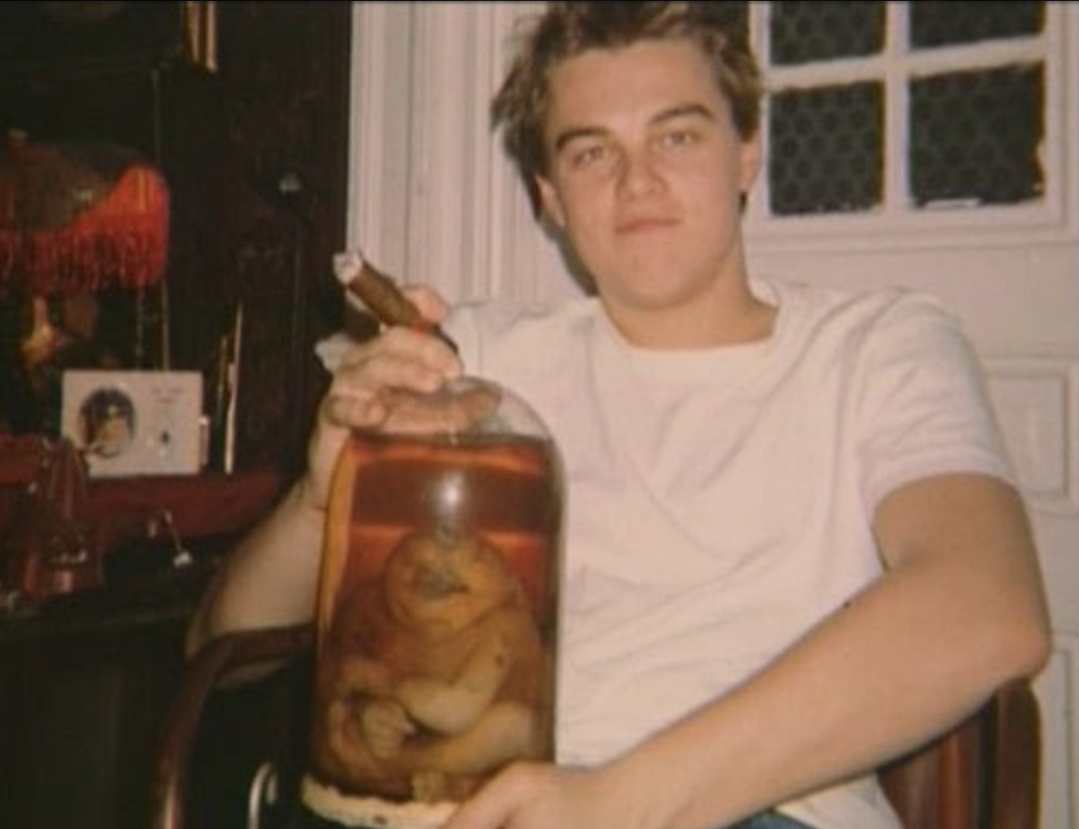 DiCaprio x Epstein : révélations troublantes
