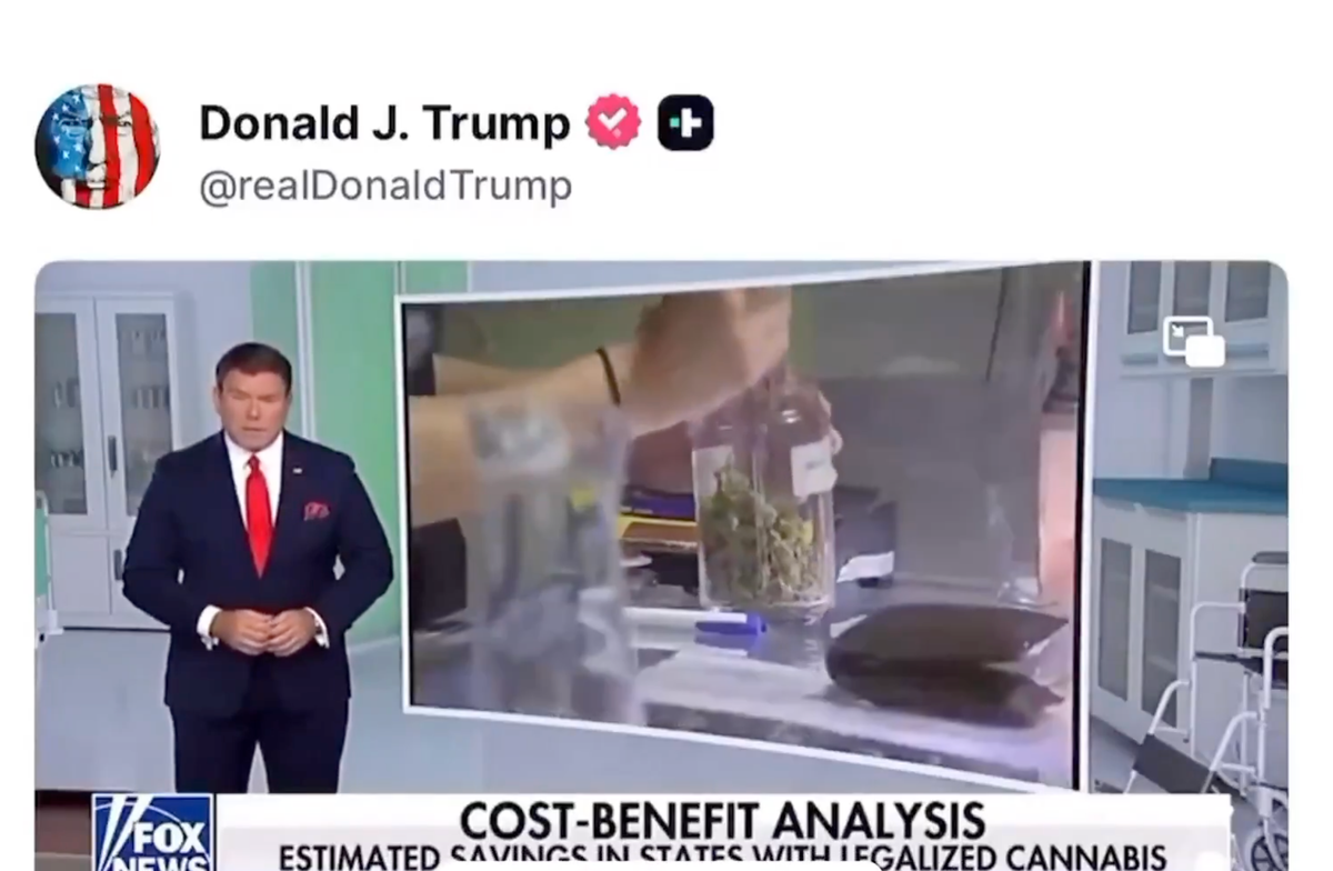 Trump libère le cannabis : Adieu opioïdes, bonjour CBD