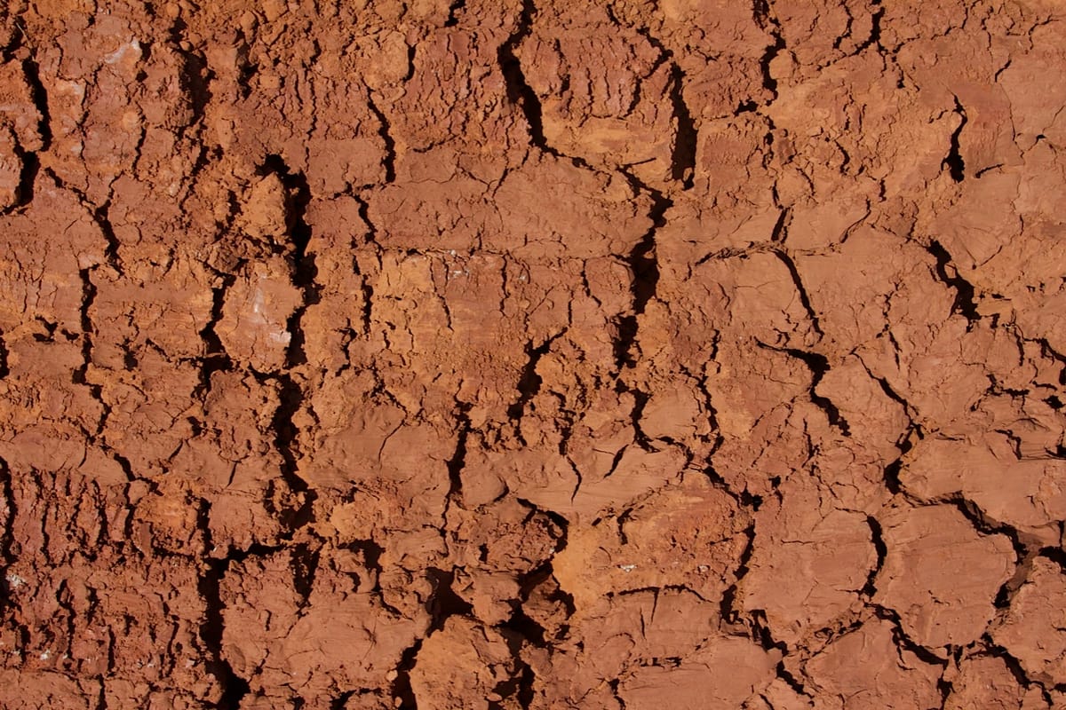 Sol craquelé par la sécheresse