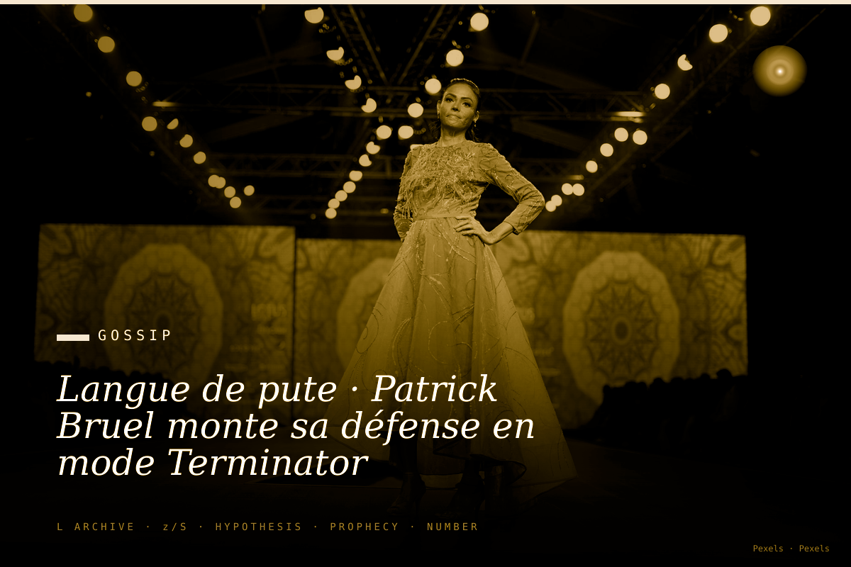 Langue de pute · Patrick Bruel monte sa défense en mode Terminator