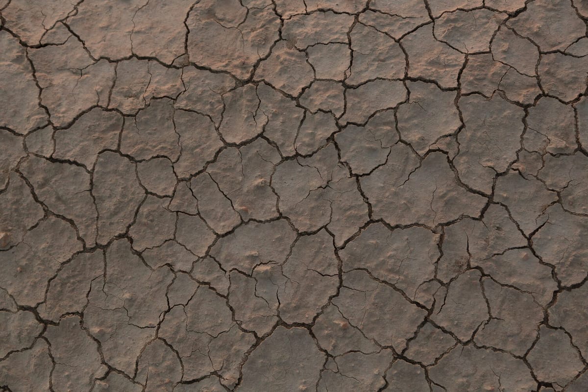 Après la canicule : ce qui reste quand les caméras partent