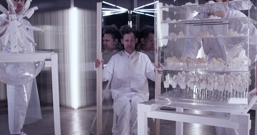 DREAM A LITTLE CRAZY : LE CLIP SIGNÉ LUCY McRAE
