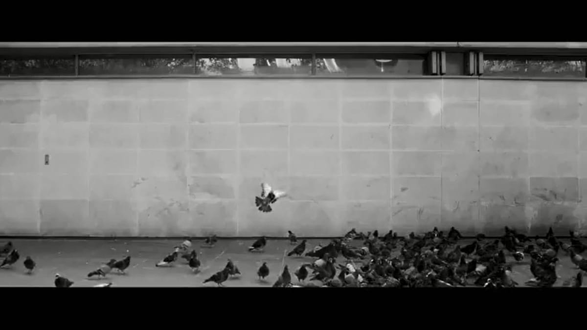 LUMIÈRE SUR LE PALMARÈS DES YOUNG DIRECTOR AWARD