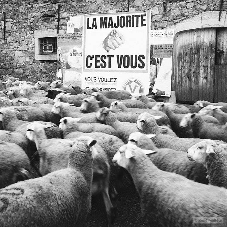 Situations absurdes et intempestives du quotidien