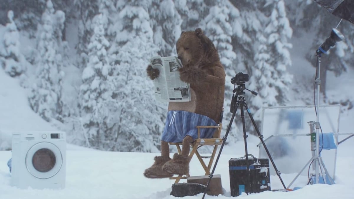 ENCORE UN OURS DANS LA PUBLICITÉ
