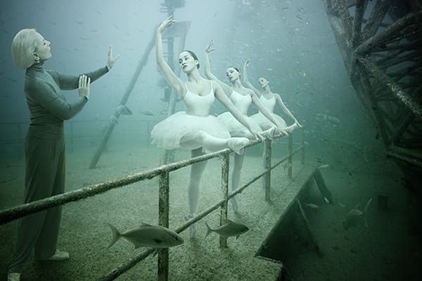 ANDREAS FRANCK, ARTISTE AQUATIQUE