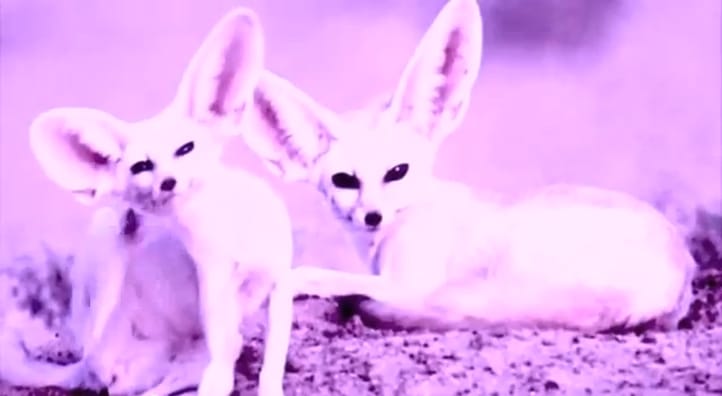 SuperSecretLovers – « Purple Sky »