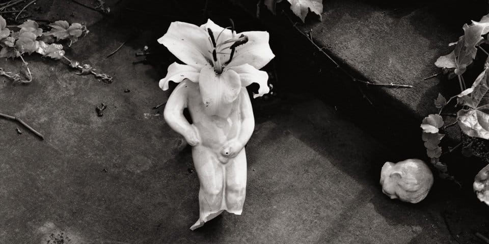 Nobuyoshi Araki