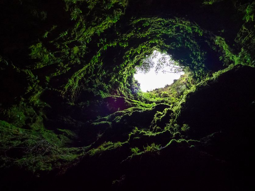 Le Grand Récit de Klaus : Pour le 21ème siècle, enfermer la plèbe dans la caverne de Platon