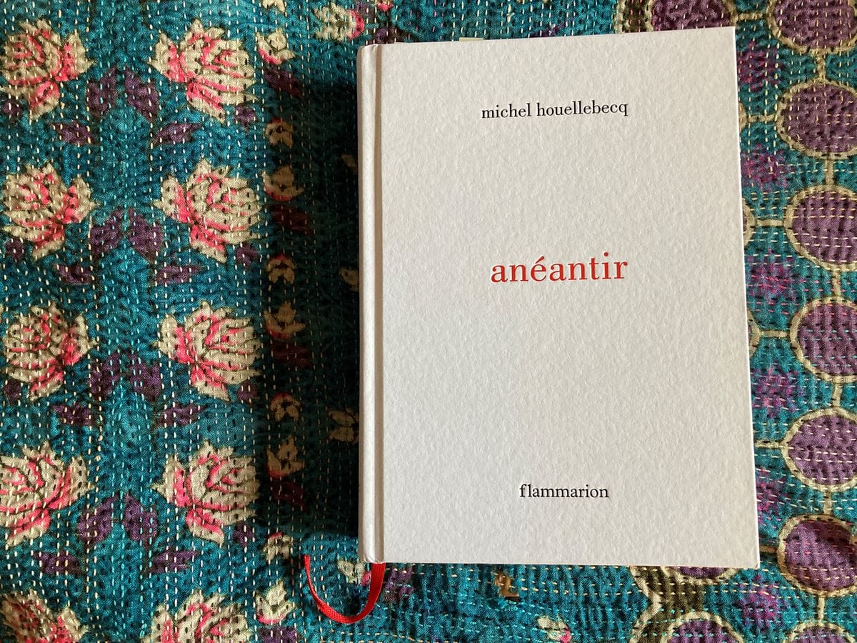 Extraits exclusifs d’anéantir, le nouveau roman de Michel Houellebecq