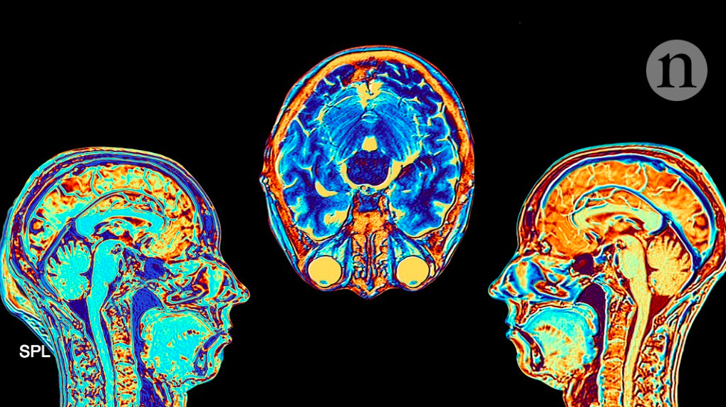 La Chine et ses progrès dans le développement d’une arme pour « contrôler le cerveau »
