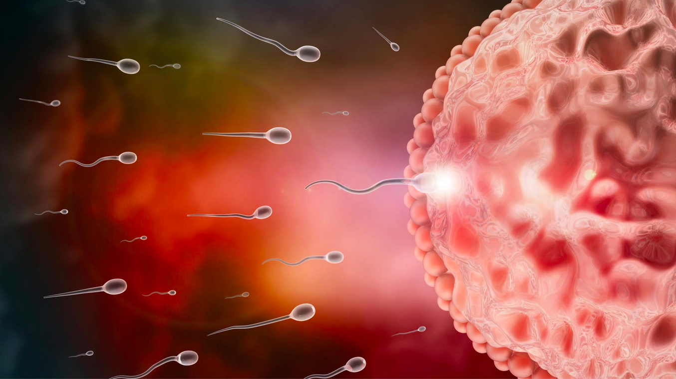 Est-ce que la protéine Spike se transmet sexuellement d’un vacciné à un non vacciné ? Le Dr Benoit Ochs répond.