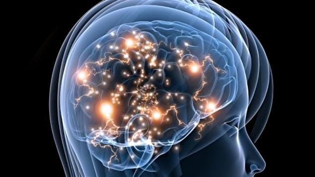 La neurodiversité dans la nouvelle constitution, aujourd’hui au Chili et demain en France ?