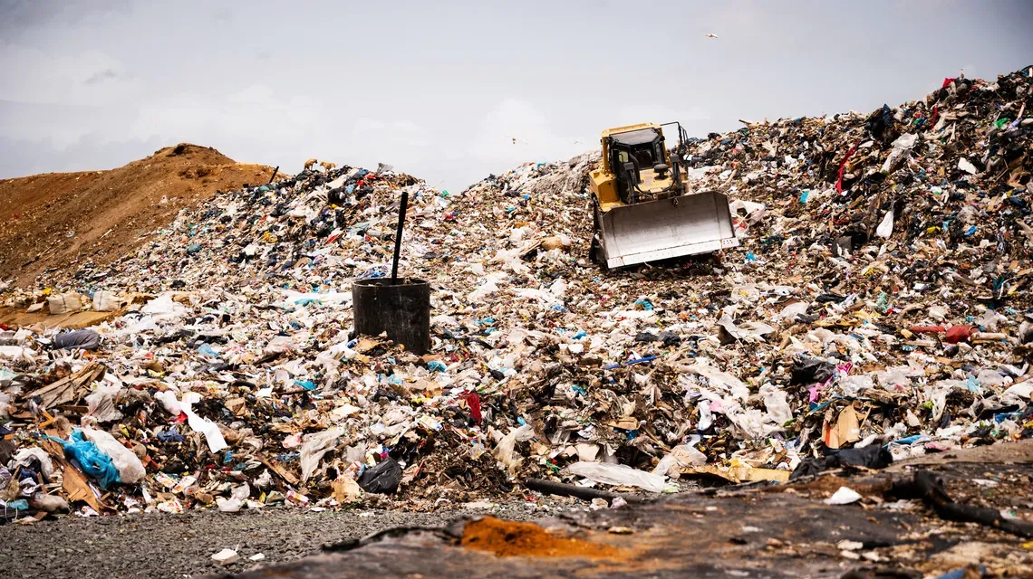 Sous les poubelles, le crime organisé
