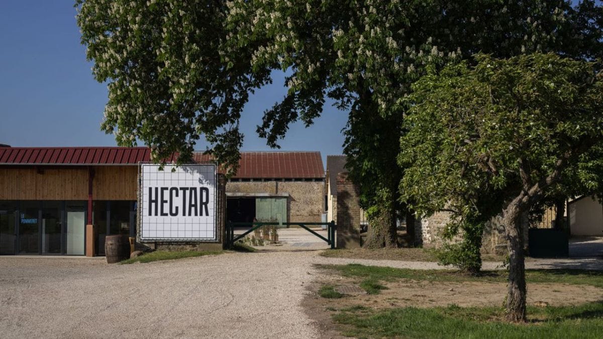 Comment McKinsey compte influencer l’évolution de l’agriculture française