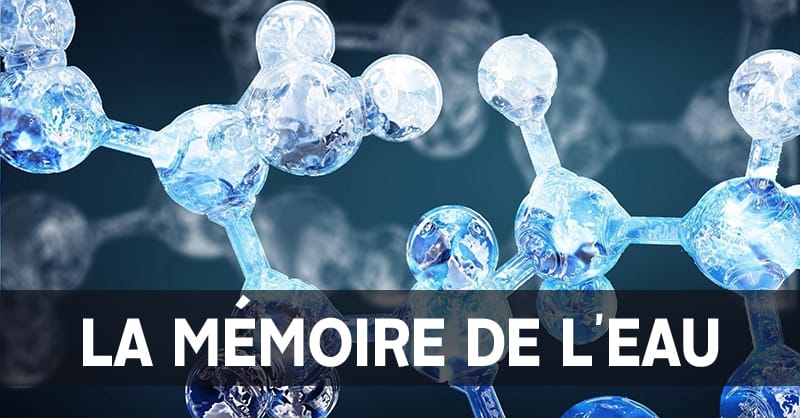 Lumière sur la Mémoire de l’Eau