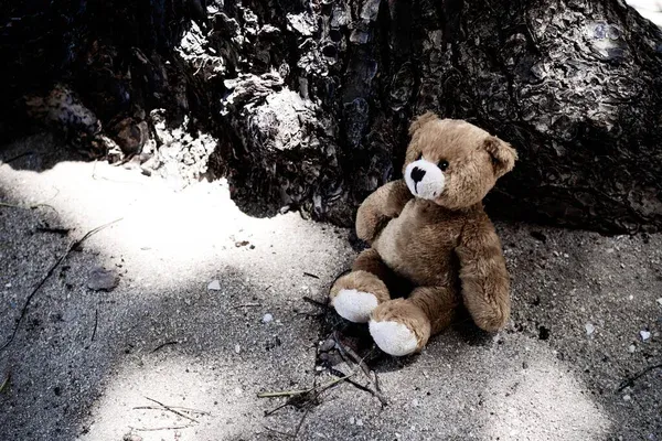 Disparitions de mineurs : « plus de 110 enfants signalés disparus chaque jour »
