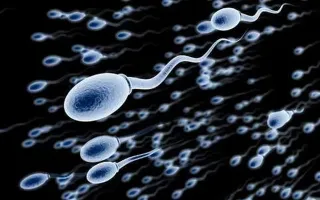 Le sperme ne transmet pas seulement l'ADN, mais aussi l'empreinte biologique du mode de vie paternel