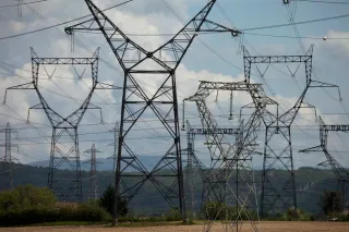 La Camargue sacrifiée : le crime écologique des macronistes au nom de l’IA