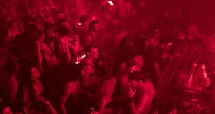 Les soirées Monarch : l’orgie qui ose tout… jusqu’à ce qu’une fuite de données la démasque