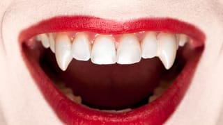 Le sang jeune est un élixir contre le vieillissement