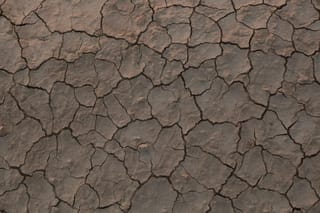 Après la canicule : ce qui reste quand les caméras partent