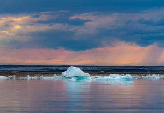 Ils n’ont pas supprimé le rapport sur l’Arctique. Ils ont supprimé les gens qui le fabriquent.
