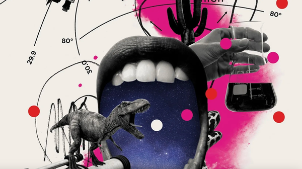 Les scandales sous silence – Quand l’intégrité académique et judiciaire vacille en France