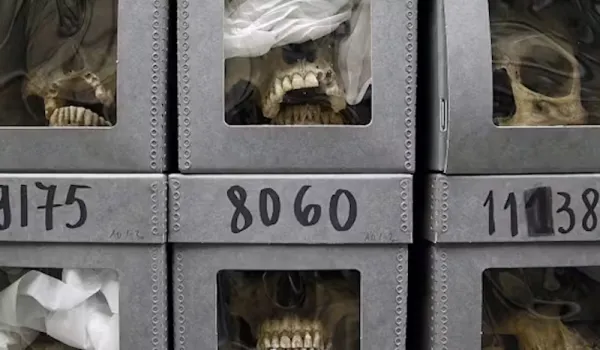 Les 18 000 crânes cachés en France ou la nécropole secrète de l’oubli colonial