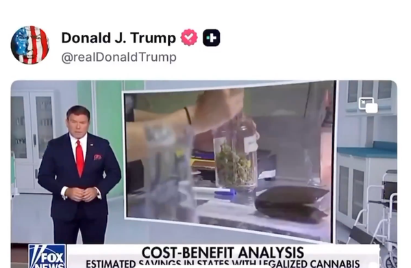 Trump libère le cannabis : Adieu opioïdes, bonjour CBD