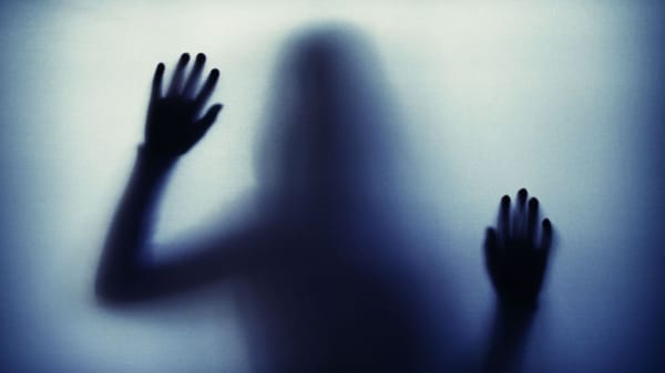 Un violeur de l’ASE sur 11 enfants libre en Seine-et-Marne – La France des enfants volés et oubliés