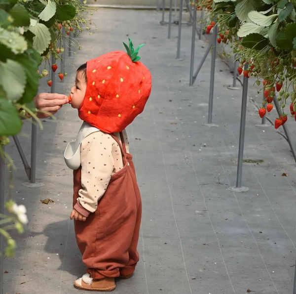 Les parents milléniaux  : Réparer, absorber, révolutionner – Un courage qui faut (enfin) reconnaître