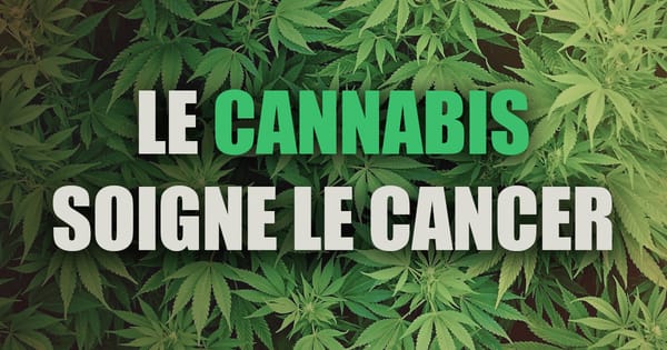 Cannabis et cancer : une révolution verte en marche ?