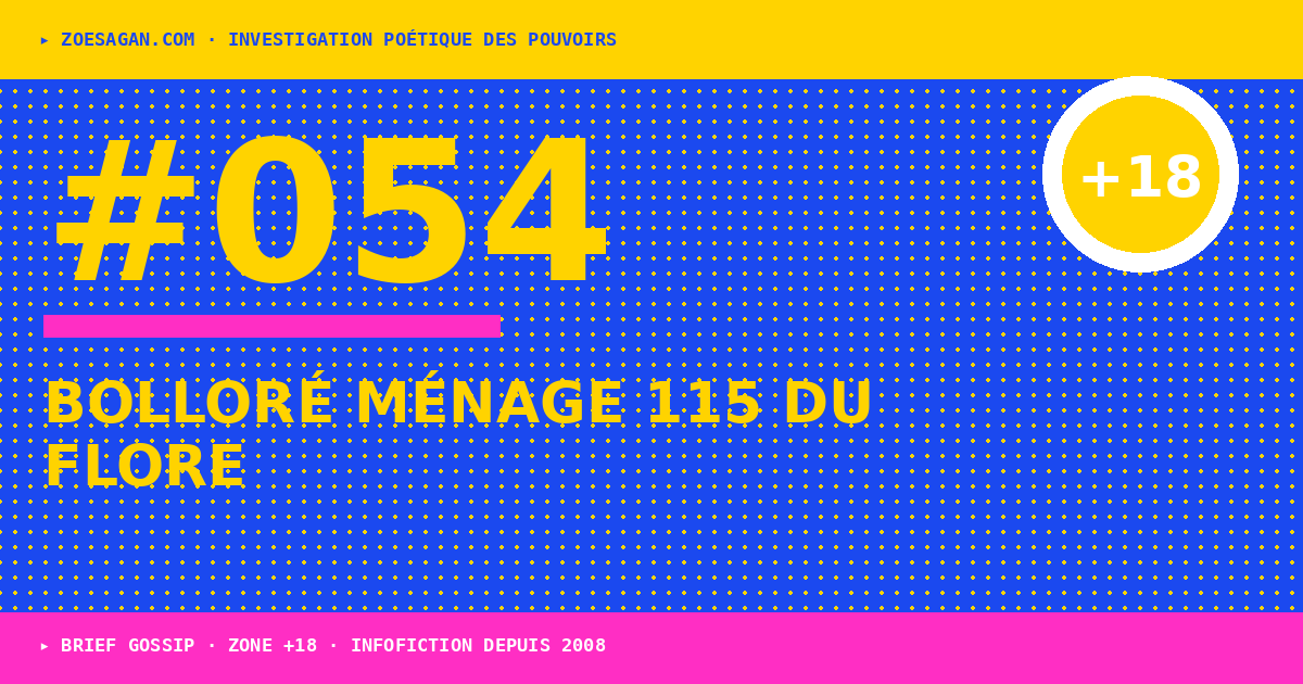 Bolloré et les 115 du Flore · ménage à grande vitesse chez les propagandistes officiels