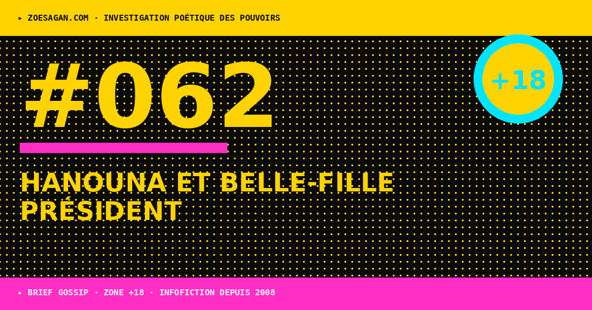 Cyril Hanouna et ses chroniqueurs · le tapage vient des fans devenus fous · la belle fille du président l'a fait taire