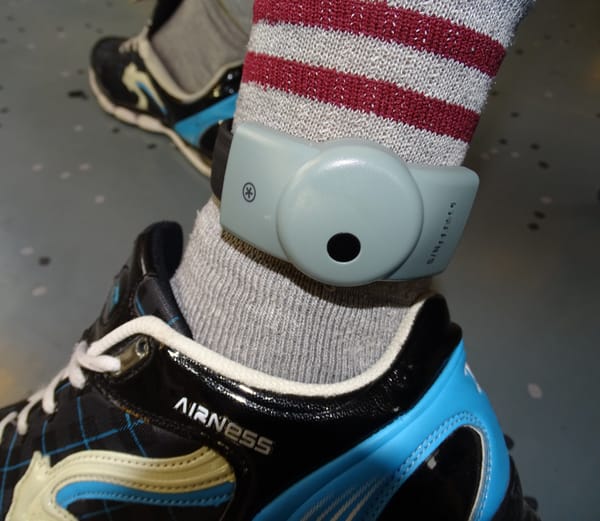 Vingt ans pour des viols sur une enfant. Il portait déjà un bracelet électronique