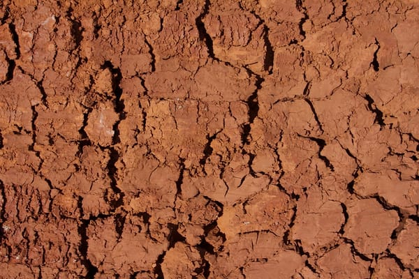 Canicule : deux chiffres face à face, et c'est tout le débat