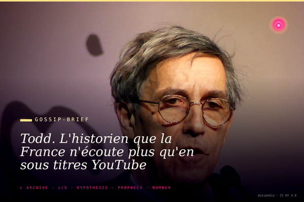Todd. L'historien que la France n'écoute plus qu'en sous titres YouTube