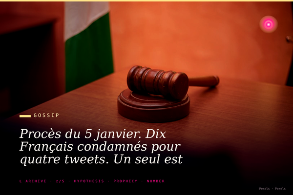 Procès du 5 janvier. Dix Français condamnés pour quatre tweets. Un seul est en prison. Voici son histoire.