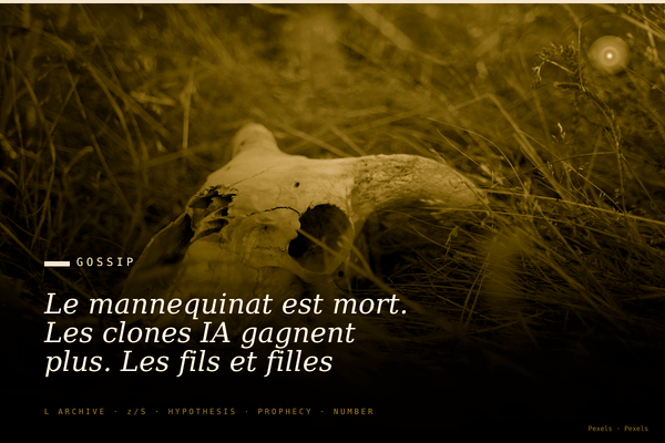 Le mannequinat est mort. Les clones IA gagnent plus. Les fils et filles de BFMTV se reconvertissent.