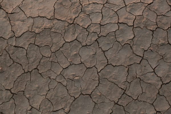 Après la canicule : ce qui reste quand les caméras partent