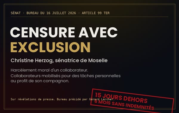 Herzog exclue du Sénat : la sanction que l'Assemblée n'ose pas