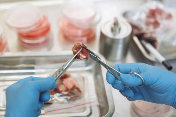 Une chercheuse s'injecte ses propres virus, aucun comité d'éthique n'a eu à trancher