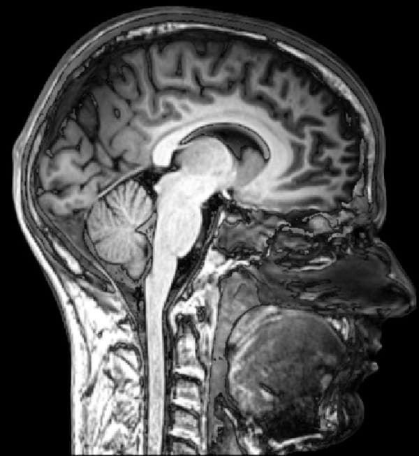 La mort quantique : ce que les laboratoires cherchent, ce que les vendeurs promettent