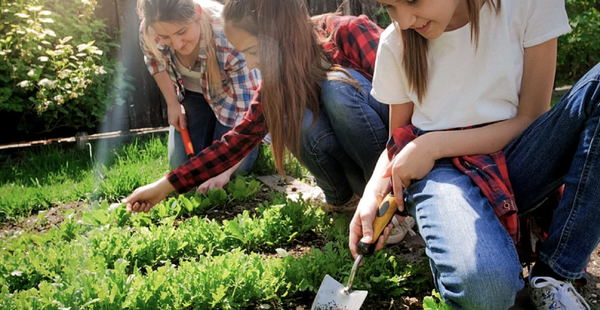 Remplacer les heures de colle par des heures de jardinage, un collège parisien expérimente