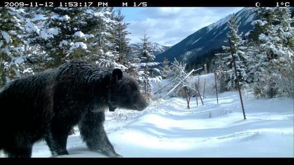 Guy Aroch avec Emilia Clarke