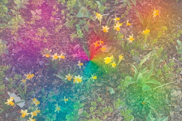 Les plus grands reprennent les Beach Boys